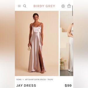 Birdy Grey Jay Satin Dress in Taupe